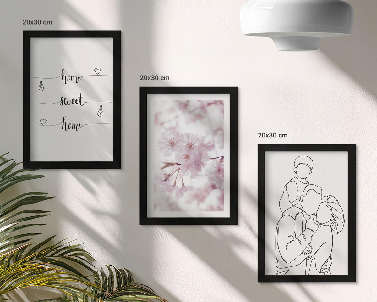 WANDBILDER 3er-Set - 20x30 cm Schwarzer Rahmen - Blumenfamilie minimalistisch - Schwarz, Kunststoff (20/30cm) - ArtPrintCave