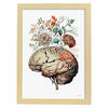 POSTER Anatomie Gehirn A3 Rahmen Aus Hellem Holz - Beige, Papier (29.7/5/42cm) - Nacnic