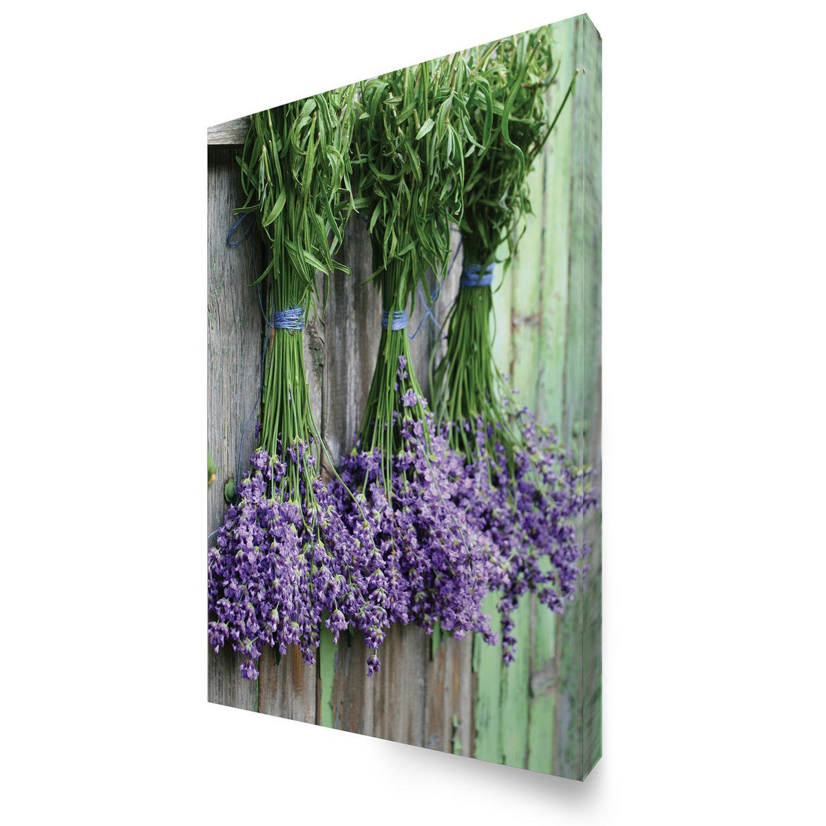 LEINWANDBILD Lavendel - 70x50cm - Lila, Textil (50/1cm) - Art for the Home