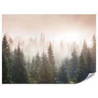 FOTOTAPETE für Wohnzimmer Nadelwald Bäume im Nebel Mystisch 450x315 - Orange/Braun, Papier (450/315cm) - Muralo