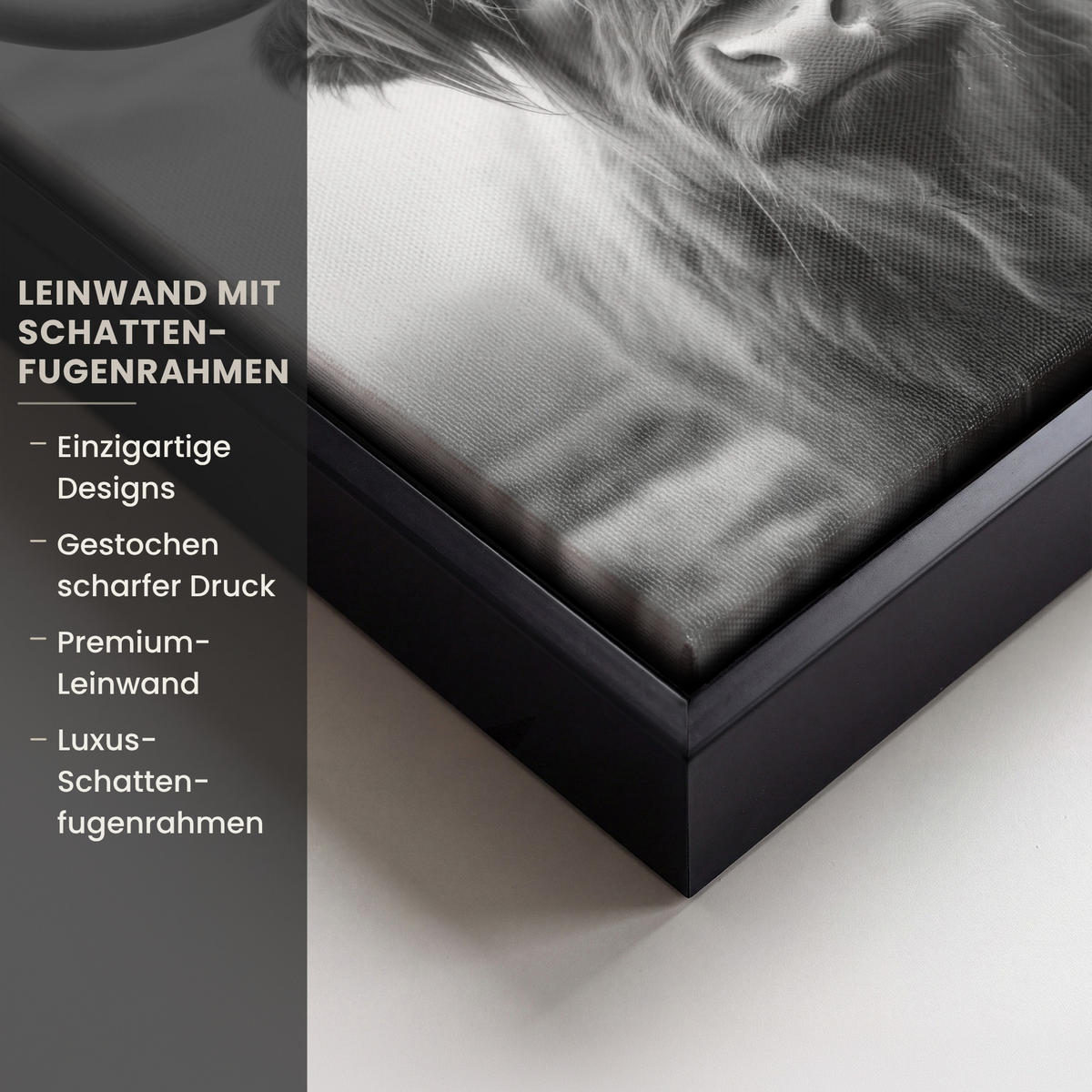 LEINWAND Bilder mit Rahmen - Schottischer Highlander - Nebel - Schwarz - Weiß - 20x20 - Grau, Textil (20/20cm) - MuchoWow