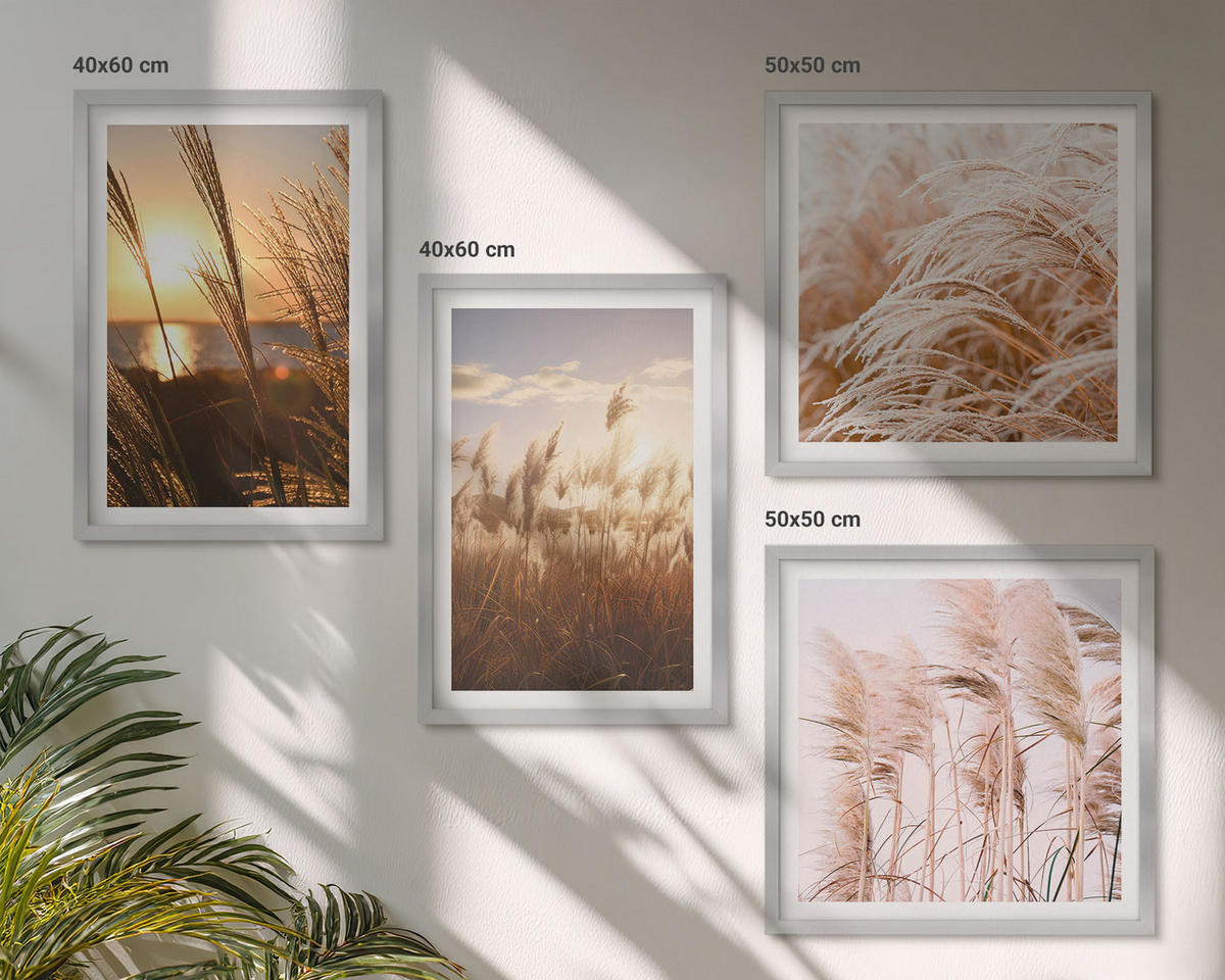 BILDER SET 4er Set - 50x50 cm & 40x60 cm Silberner Rahmen - Boho-Grasfeld-Sonnenuntergang - Silberfarben, Kunststoff (50/50cm) - TULUP