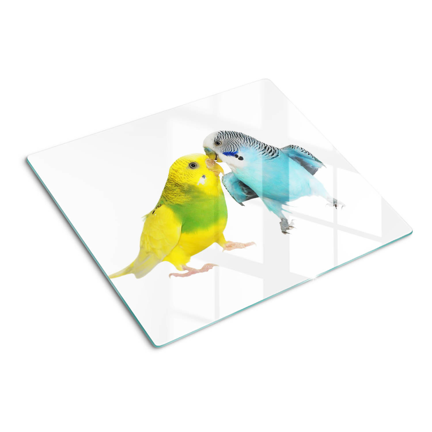GLASPLATTE 60x52 cm Wellensittiche - Grau, Glas (60/0.4/52cm) - TULUP