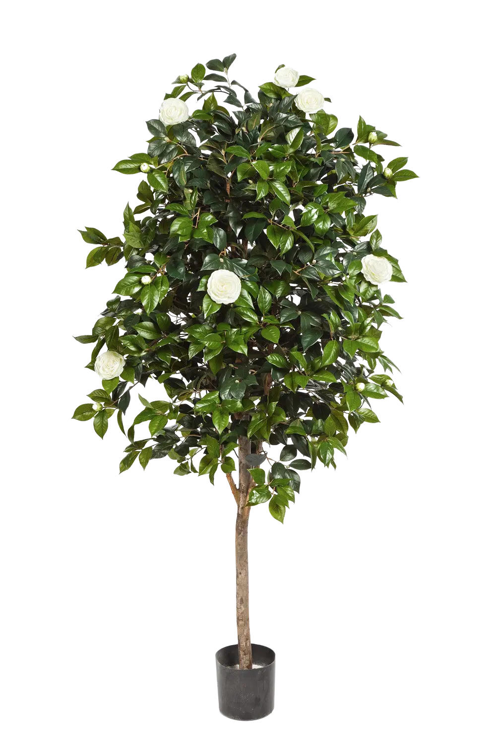 KUNSTBAUM Künstlicher Kamelienbaum - Polly 170 cm - Grün, Kunststoff (170cm) - aplanta