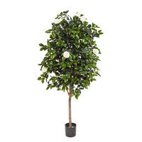 KUNSTBAUM Künstlicher Kamelienbaum - Polly 170 cm - Grün, Kunststoff (170cm) - aplanta