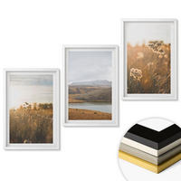 WANDBILDER 3er-Set - 40x60 cm Weißer Rahmen - Landschaften Wiesen Berge See - Weiß, Kunststoff (40/60cm) - ArtPrintCave