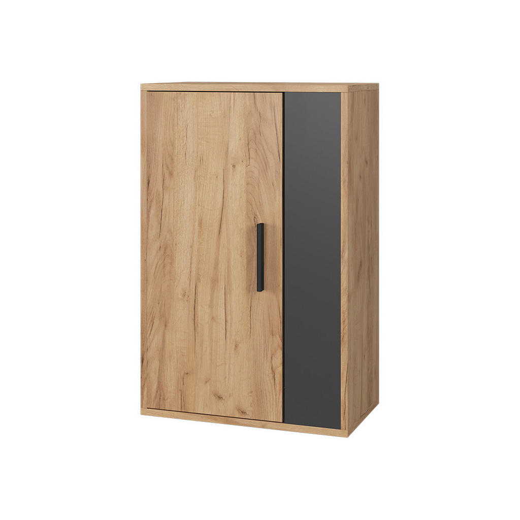 Vicco NÁSTĚNNÁ SKŘÍŇKA Berno Zlatý dub power/antracit 50.1 x 78.4 cm se 2 přihrádkami