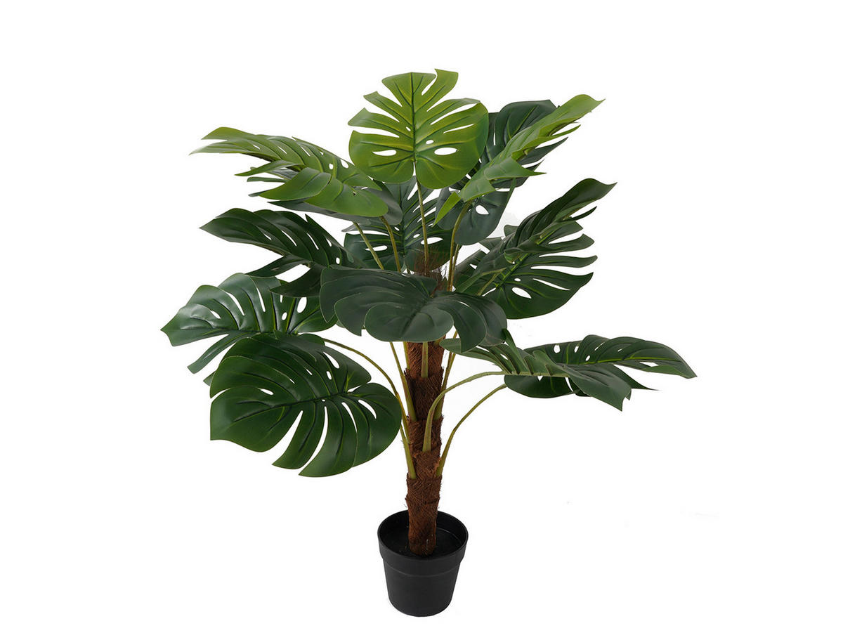 DEKOPFLANZE Monstera 75/75/98 cm - Grün, Kunststoff (98cm) - Present Time