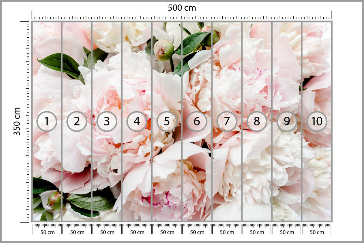 FOTOTAPETE für Schlafzimmer Rosa Zarte Pfingstrosen Natur 500x350 - Rosa/Weiß, Papier (500/350cm) - Muralo