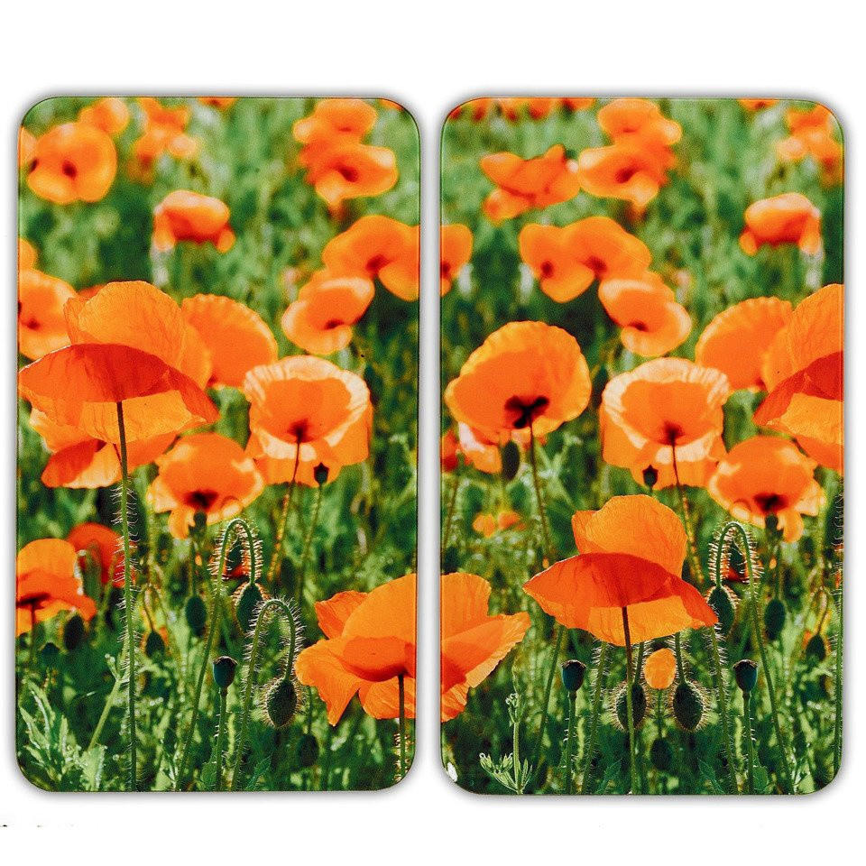 GLASSCHUTZPLATTEN für den Herd Pole Maku 0,5/30/52 cm - Multicolor, Glas (30/52/0.5cm) - Wenko