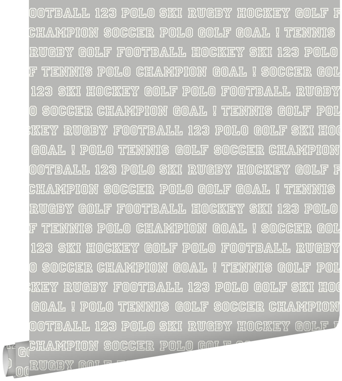 TAPETE Sportarten 53 cm x 10.05 m - Grau, Papier (53/1000cm) - ESTAhome