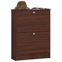 SKŘÍŇ NA BOTY Tmavě hnědá 80/60/20 - tmavě hnědá, kompozitní dřevo (60/80/20cm) - RAUMHIRSCH FURNITURE