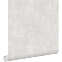 TAPETE mit malerischem Effekt 53 cm x 10.05 m - Grau, Papier (53/1000cm) - ESTAhome
