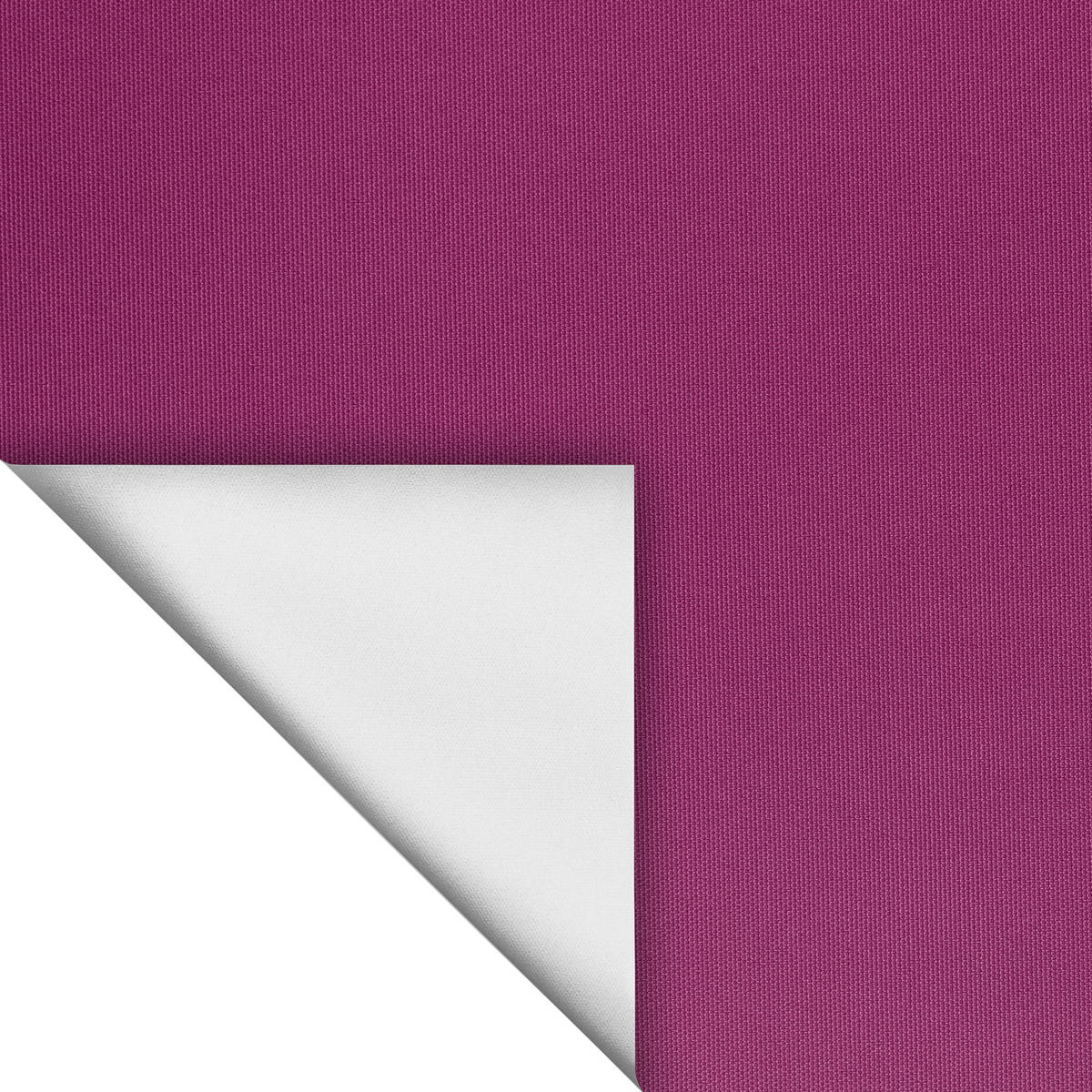 THERMO-ROLLO KLEMMFIX, OHNE BOHREN, VERDUNKELUNG - Pink, Kunststoff (90/150cm) - Lichtblick Original