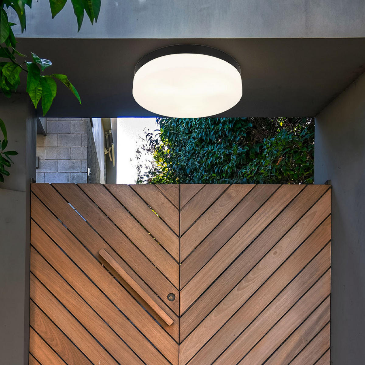 LED DECKENLEUCHTE Alu Glas Schwarz - Schwarz, Glas (30/30/6.5cm) - Globo Lighting