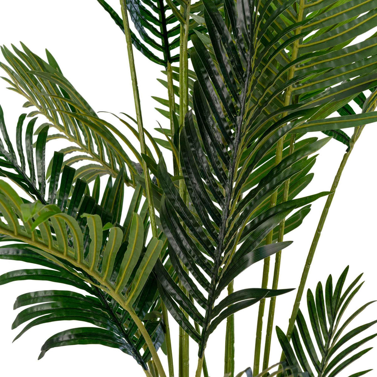 ARECA-PALME PE Kunststoff, Polyester, Draht, Zement Grün - Grün, Kunststoff (175cm) - tinkaro
