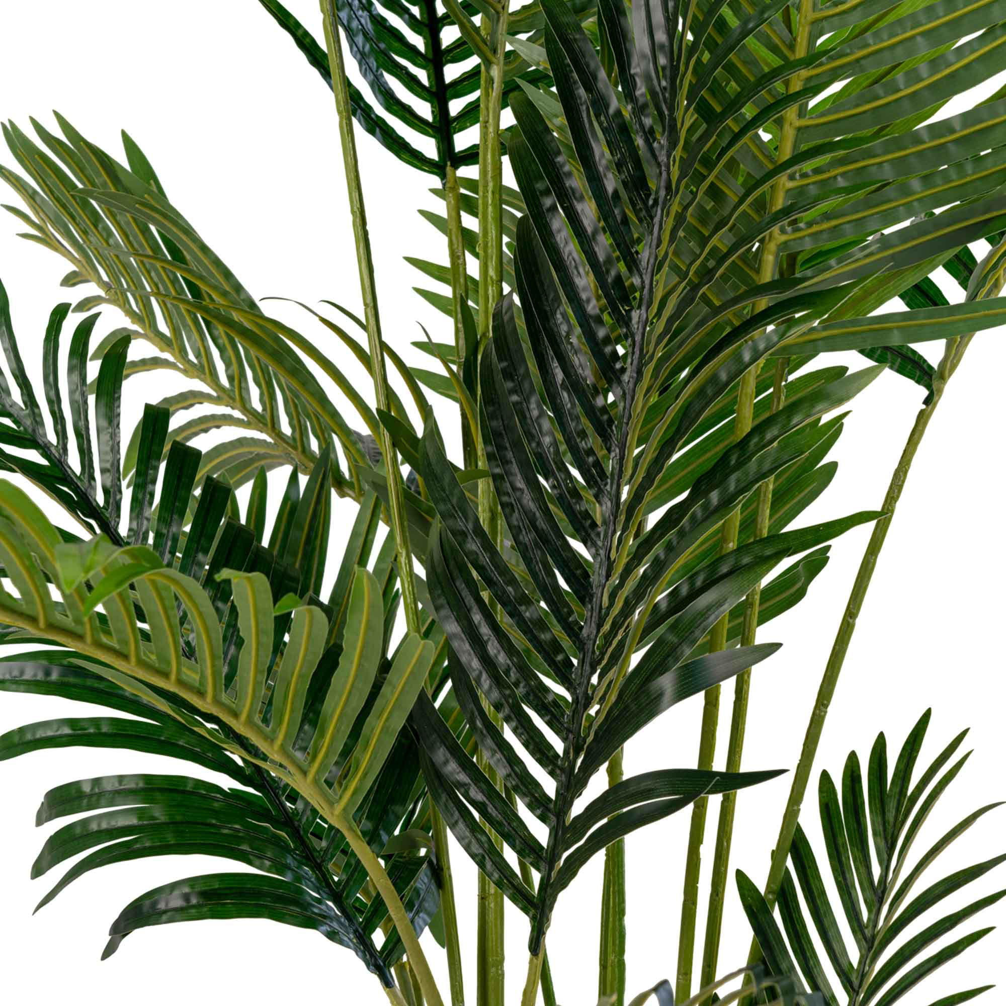 Thumbnail - tinkaro Areca-Palme, Grün, Kunststoff, 175 cm, Dekoration, Blumen & Zubehör, Kunstpflanzen