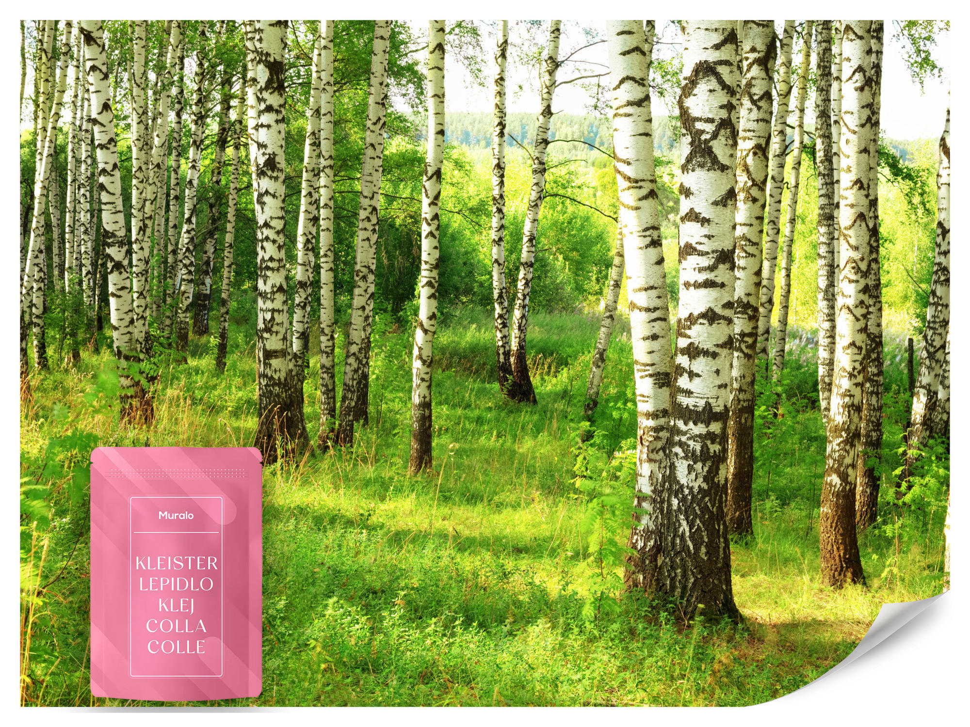 FOTOTAPETE für Esszimmer Birkenwald Bäume Natur 3D 450x315 - Schwarz/Braun, Papier (450/315cm) - Muralo