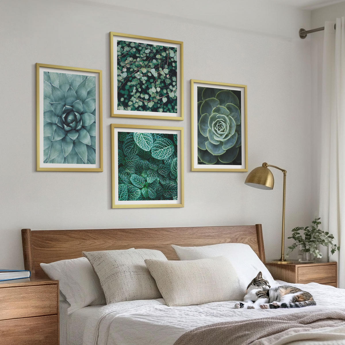 BILDER SET 4er Set - 50x50 cm & 40x60 cm Goldrahmen - Sukkulenten in Grün und Türkis - Goldfarben, Kunststoff (50/50cm) - TULUP