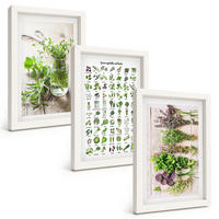 BILDER SET 3er Set - 20x30 cm Weißer Rahmen - Getrocknete Kräuter für die Küche - Weiß, Kunststoff (20/30cm) - TULUP