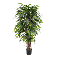 KUNSTBAUM Künstliche Longifolia - Steven 210 cm - Grün, Kunststoff (210cm) - aplanta