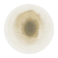 PREPROGA Drop Fawn 140/140 cm - bež, umetna masa/tekstil (140/140cm) - Louis De Poortere