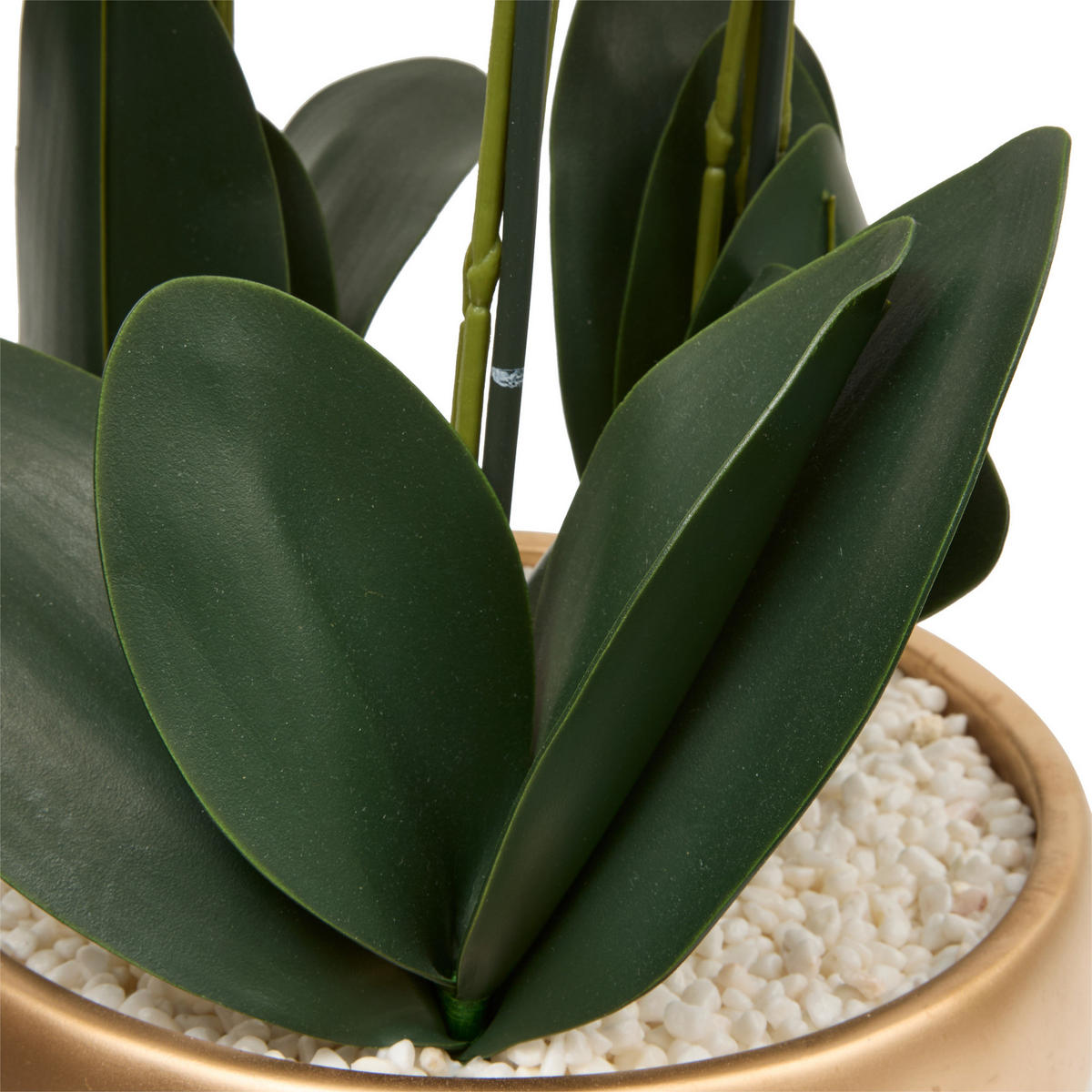 ORCHIDEE im goldenen Topf Sanae 60/25/65 cm - Weiß, Kunststoff (65cm) - Atmosphera Createur d´interieur