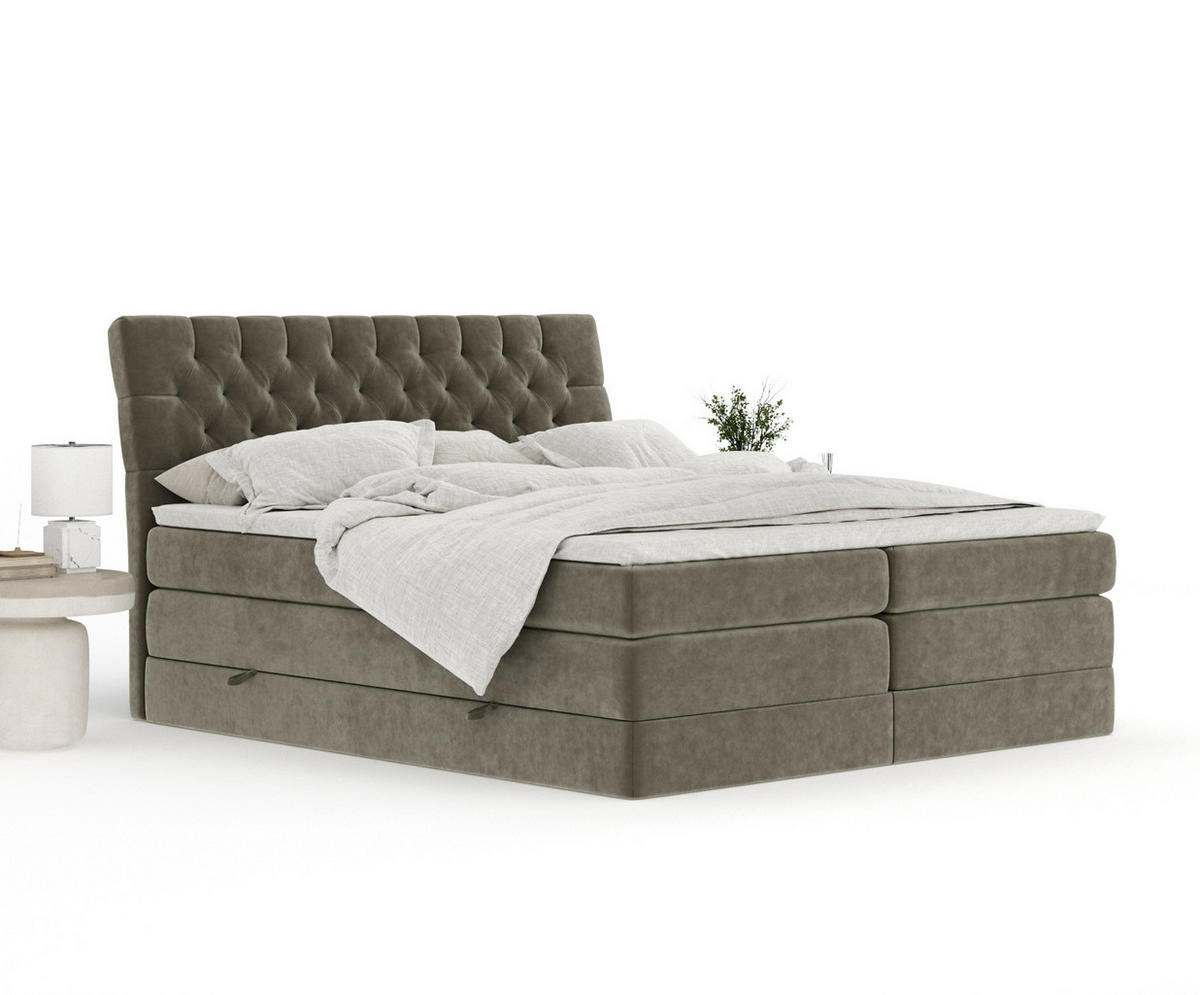 BOXSPRINGBETT Seraphine Taupe 160/200 cm - Taupe/Schwarz, Holz/Holzwerkstoff (160/200cm) - Maison de Reve