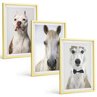 BILDER SET 3er Set - 40x60 cm Goldrahmen - Elegante Porträts von Hunden und Pferden - Goldfarben, Kunststoff (40/60cm) - TULUP