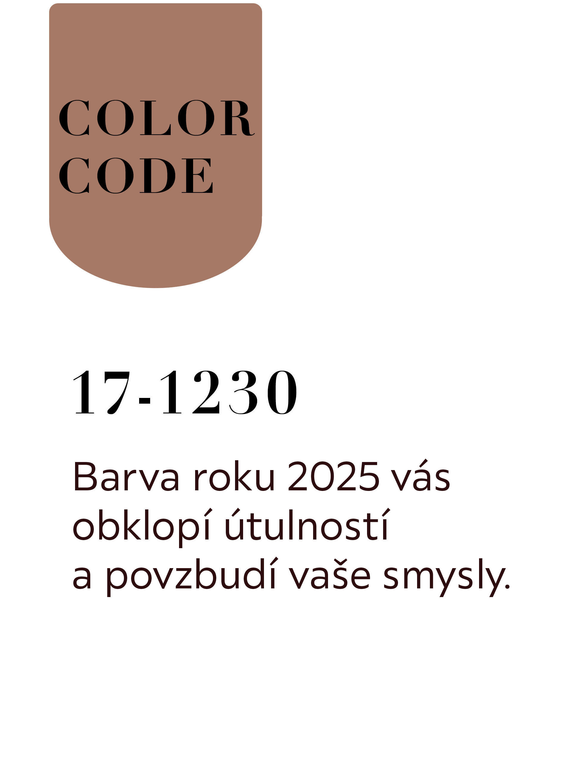Barva roku 2025