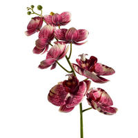 UMĚLÁ KVĚTINA Orchidej - bílá, plast (85cm) - Mondex