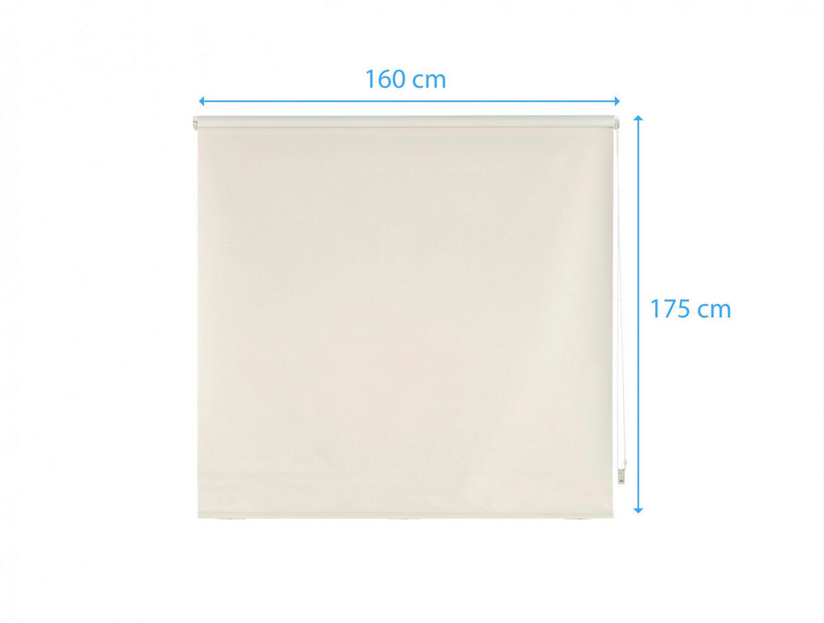 ROLLO Polyester Transluzent Beige 160x175 - Beige, Textil (160/175/1cm) - Purline