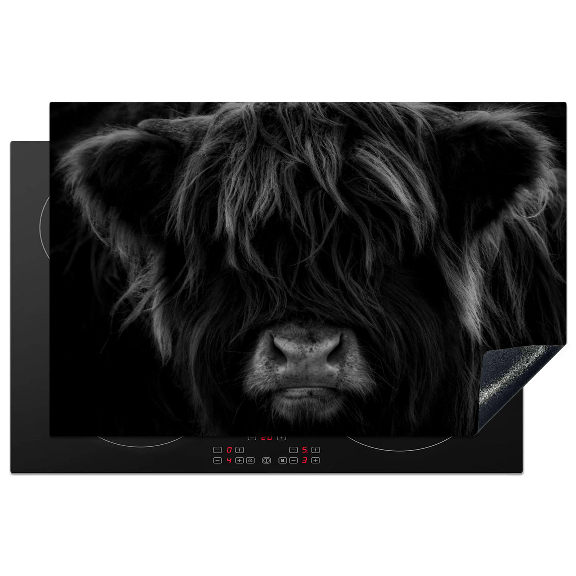 HERDABDECKPLATTE Schottischer Highlander - Kuh - Schwarz - Weiß - Tiere Induktionsmatte 81x52 cm - Schwarz, Kunststoff (81/52/0.2cm) - MuchoWow