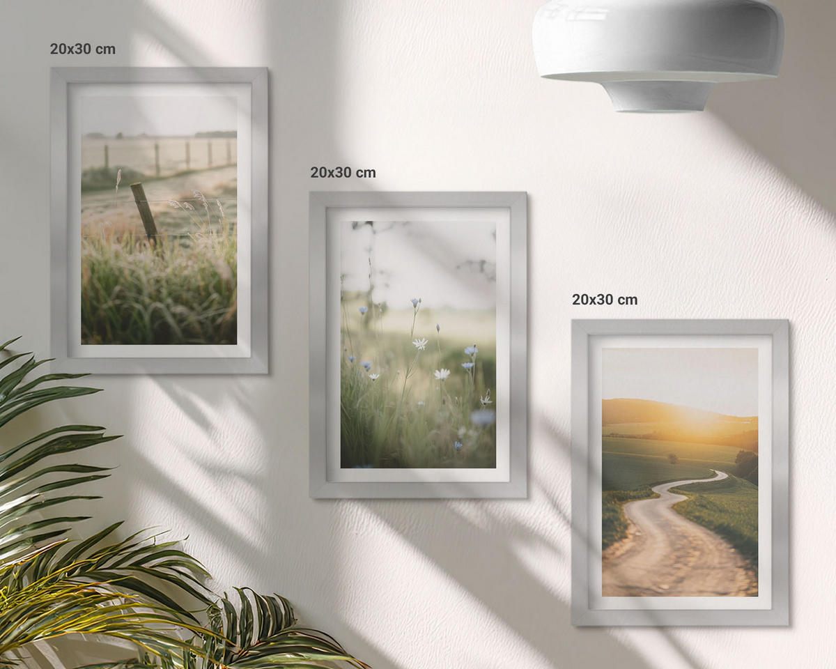 WANDBILDER 3er Set - 20x30 cm Silberner Rahmen - Landschaftswiesenstraße West - Silberfarben, Kunststoff (20/30cm) - ArtPrintCave