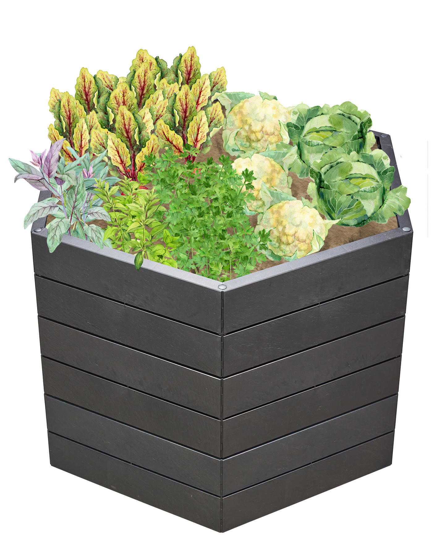 HOCHBEET L 75, , inkl. Wassersparsystem - Anthrazit, Kunststoff (110/75/110cm) - GARANTIA