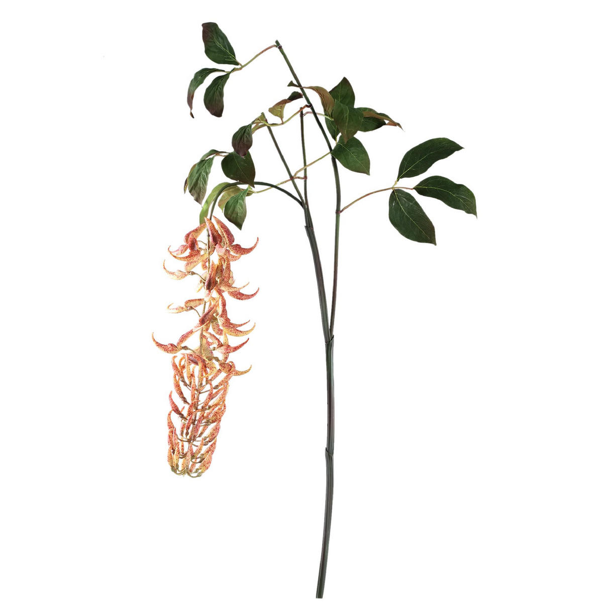 KUNSTBLATT Garden Orange 105/60/150cm - Orange, Kunststoff (60/150/105cm) - PTMD Collection