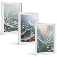 BILDER SET 3er Set - 40x60 cm Weißer Rahmen - Wassertropfen auf Löwenzahnsprossen - Weiß, Kunststoff (40/60cm) - TULUP
