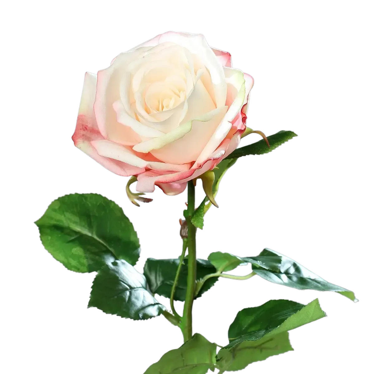 ROSEN Künstliche Rose - Xenia 66 cm - Dunkelgelb, Kunststoff (66cm) - aplanta