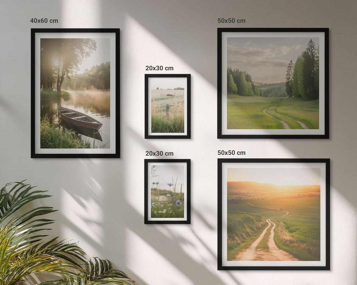 WANDBILDER 5er-Set - 50x50 cm & 20x30 cm & 40x60 cm Schwarzer Rahmen - Landschaftswiesenstraße West - Schwarz, Kunststoff (40/60cm) - ArtPrintCave