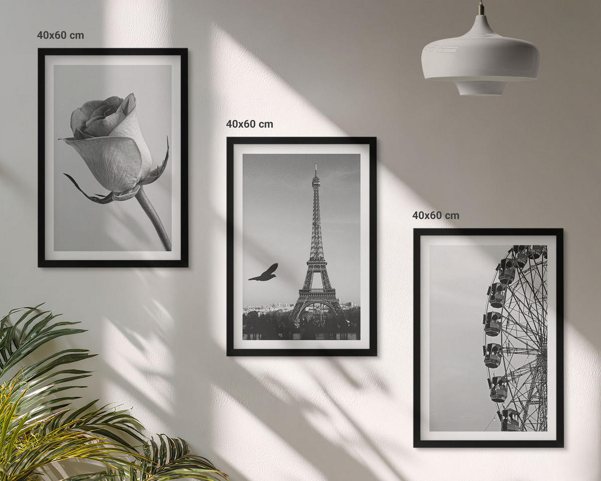 WANDBILDER 3er-Set - 40x60 cm Schwarzer Rahmen - Rose Eiffelturm Riesenrad - Schwarz, Kunststoff (40/60cm) - ArtPrintCave