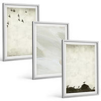 BILDER SET 3er Set - 40x60 cm Silberner Rahmen - Vögel, Steine, Pinselstriche, Verzierungen - Silberfarben, Kunststoff (40/60cm) - TULUP
