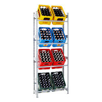 GETRÄNKEKISTENREGAL High Big Camel HxBxT 200 x 80 x 30 cm Grau - Grau, Metall (80/200/30cm) - PROREGAL