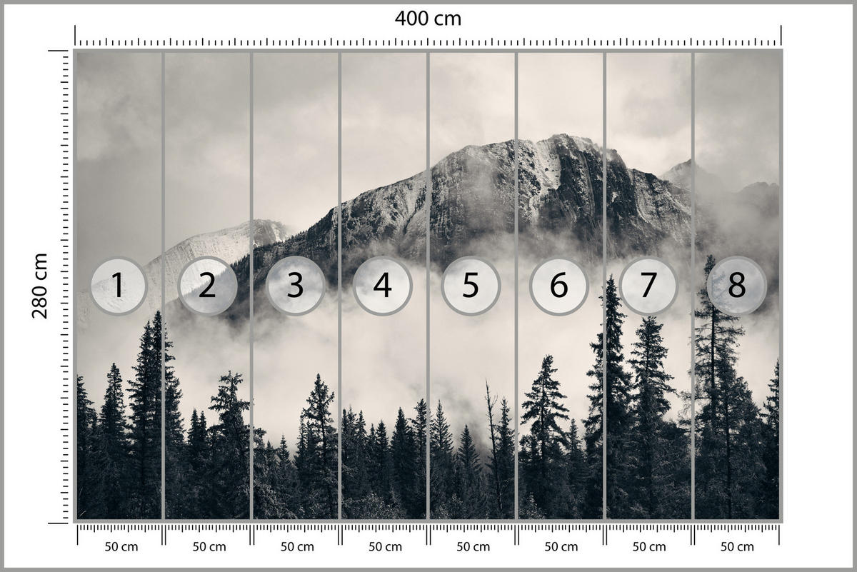 FOTOTAPETA Pre Obývaciu Izbu Ihličnatý Les V Hmle V Pozadí Hory 400 x 280 cm - čierna/sivá, papier (400/280cm) - Muralo