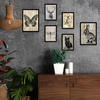 POSTER Set Mit 6 Vintage Tiere Schmetterling Hirsch Katze Fisch Kaninchenlibelle A3 & A4 Schwarzer Rahmen - Schwarz, Papier (29/3cm) - Nacnic