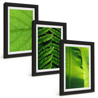 BILDER SET 3er Set - 20x30 cm Schwarzer Rahmen - Makrofotografie von tropischen Blättern - Schwarz, Kunststoff (20/30cm) - TULUP