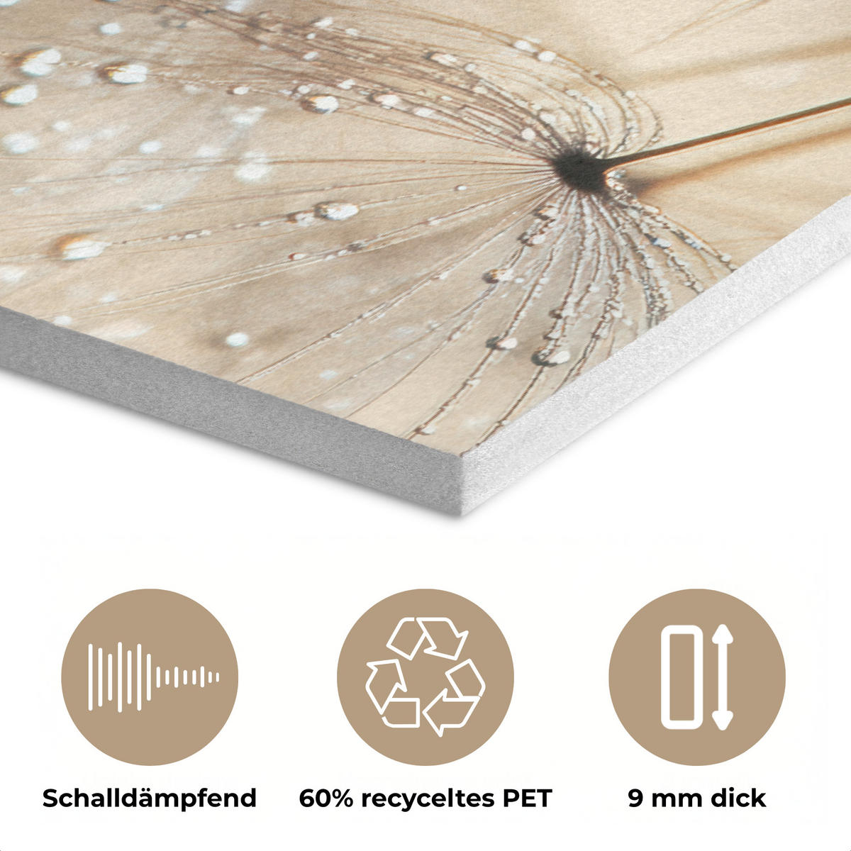 AKUSTIKBILD Löwenzahn - Abstrakt - Natur - Beige Akustikpaneele 90x60 cm - Braun, Kunststoff (90/60/0.9cm) - MuchoWow