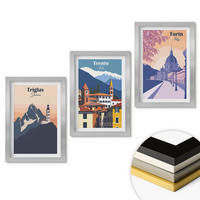 WANDBILDER 3er Set - 20x30 cm Silberner Rahmen - Retro-Illustrationen zur Bergarchitektur - Silberfarben, Kunststoff (20/30cm) - ArtPrintCave