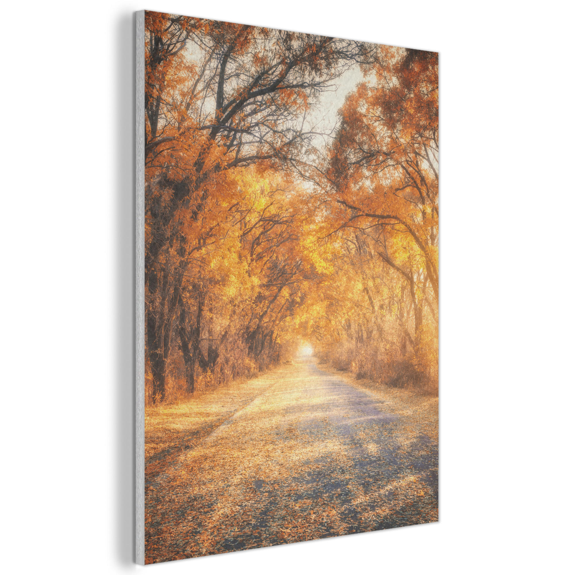 MuchoWow AKUSTICKÝ obraz Les - Podzim - Stromy - Lesní cesta - Příroda 70x100 cm