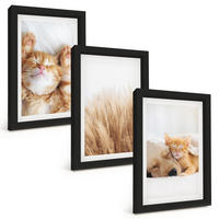 BILDER SET 3er Set - 20x30 cm Schwarzer Rahmen - Niedliche Tiere, Katzen, Hunde, Boho-Stil - Schwarz, Kunststoff (20/30cm) - TULUP