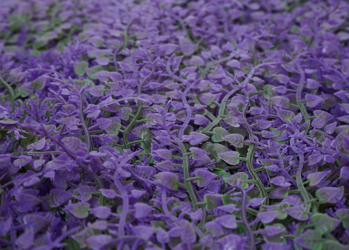 STENNA plošča, modra - lila, umetna masa (50/15/50cm) - MCW